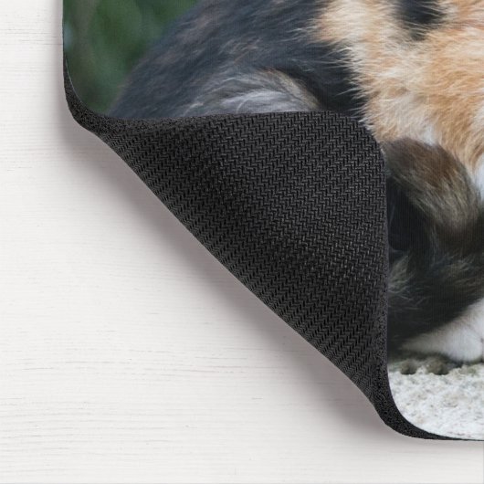 Opera Phantom Cat Mousepad (Ecke)