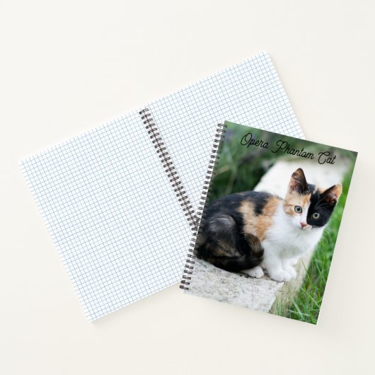 Opera Phantom Cat Notizblock (Innenseite)