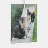 Opera Phantom Cat Ornament Aus Glas (Vorderseite Rechts)