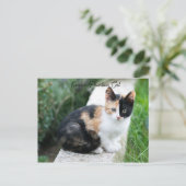 Opera Phantom Cat Postkarte (Stehend Vorderseite)