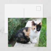 Opera Phantom Cat Postkarte (Vorne/Hinten)