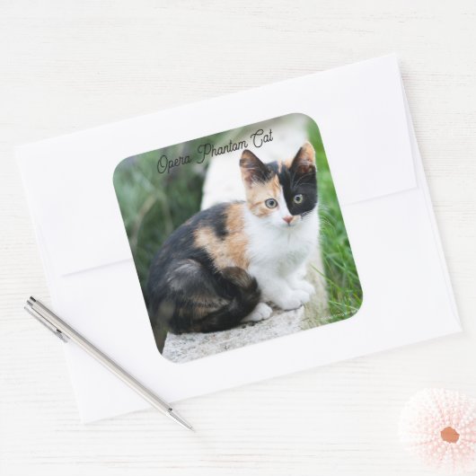 Opera Phantom Cat Quadratischer Aufkleber (Umschlag)