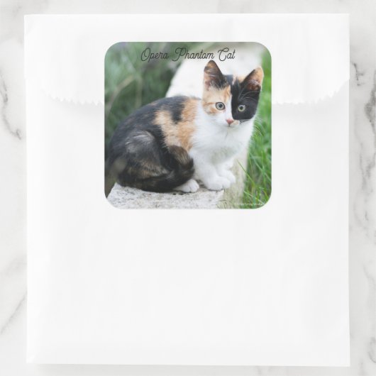Opera Phantom Cat Quadratischer Aufkleber (Tasche)