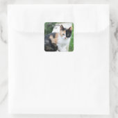 Opera Phantom Cat Quadratischer Aufkleber (Tasche)