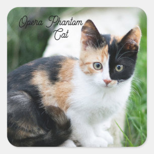 Opera Phantom Cat Quadratischer Aufkleber