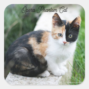 Opera Phantom Cat Quadratischer Aufkleber