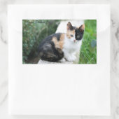 Opera Phantom Cat Rechteckiger Aufkleber (Tasche)