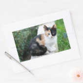 Opera Phantom Cat Rechteckiger Aufkleber (Umschlag)