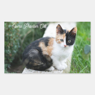 Opera Phantom Cat Rechteckiger Aufkleber