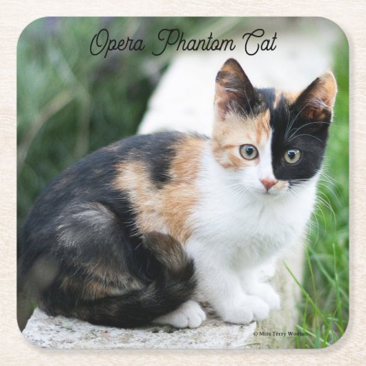 Opera Phantom Cat Rechteckiger Pappuntersetzer (Vorderseite)