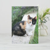 Opera Phantom Cat Save The Date (Stehend Vorderseite)