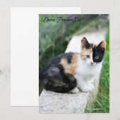 Opera Phantom Cat Save The Date (Vorne/Hinten)