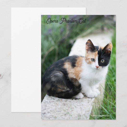 Opera Phantom Cat Save The Date (Vorne/Hinten)