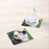 Opera Phantom Cat Untersetzer (Vor Ort)