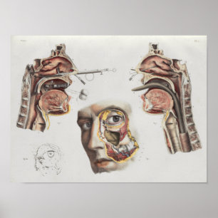 Operation Medizinische Technik Vintage Anatomie Dr Poster