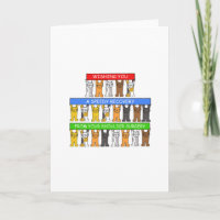 Operation Schnelle Erholung