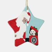 Operations-Tatzen für Ausgangshunderettung - Stern Keramikornament (Rechts)
