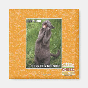 Opern-Katze Magnet