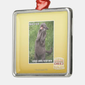 Opern-Katze Silbernes Ornament (Links)