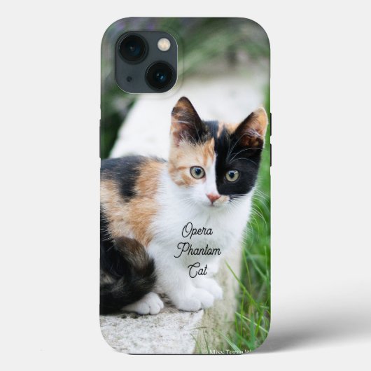Opern-Phantom-Katze Case-Mate iPhone Hülle (Rückseite)