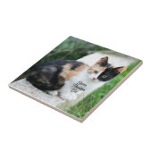 Opern-Phantom-Katze Fliese (Seite)