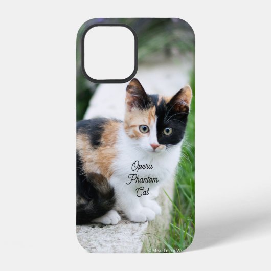 Opern-Phantom-Katze iPhone Hülle (Rückseite)