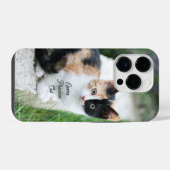 Opern-Phantom-Katze iPhone Hülle (Rückseite (Horizontal))