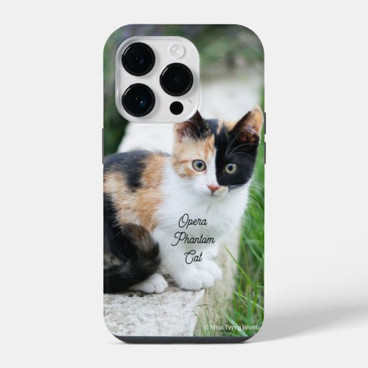 Opern-Phantom-Katze iPhone Hülle (Rückseite)