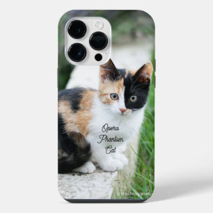 Opern-Phantom-Katze iPhone 14 Pro Max Hülle
