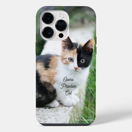 Opern-Phantom-Katze iPhone Hülle (Rückseite)