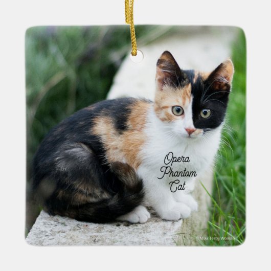 Opern-Phantom-Katze Keramikornament (Vorderseite)