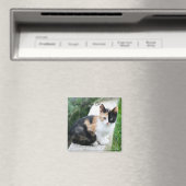 Opern-Phantom-Katze Magnet (In Situ (Geschirrspüler))