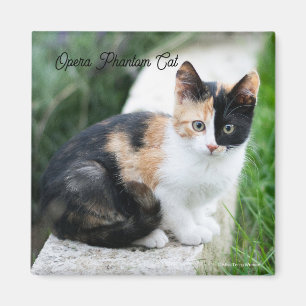 Opern-Phantom-Katze Magnet