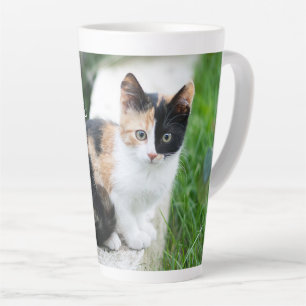 Opern-Phantom-Katze Milchtasse