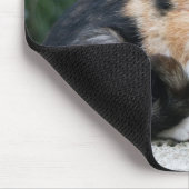 Opern-Phantom-Katze Mousepad (Ecke)