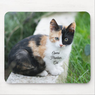 Opern-Phantom-Katze Mousepad