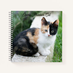 Opern-Phantom-Katze Notizblock