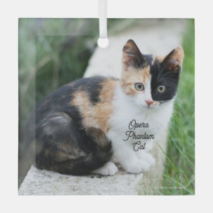Opern-Phantom-Katze Ornament Aus Glas