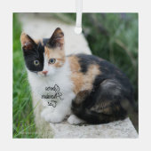 Opern-Phantom-Katze Ornament Aus Glas (Rückseite)