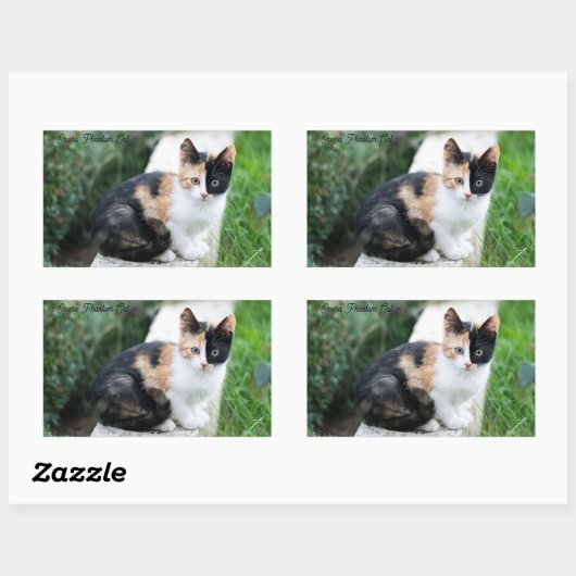 Opern-Phantom-Katze Rechteckiger Aufkleber (Blatt)