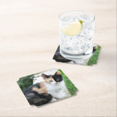 Opern-Phantom-Katze Untersetzer (Vor Ort)
