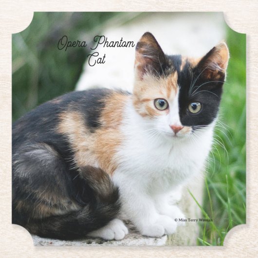 Opern-Phantom-Katze Untersetzer (Vorderseite)