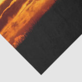 Opfere das Gewebepapier Seidenpapier (Detail)