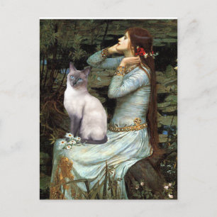 Ophelia - Blue Point Siamese cat Postkarte