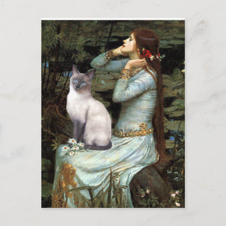 Ophelia - Blue Point Siamese cat Postkarte