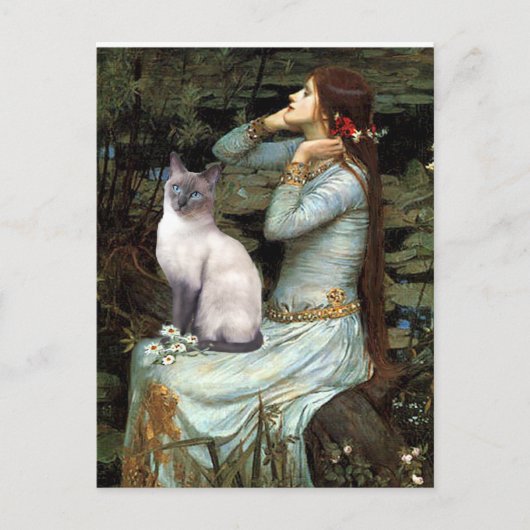 Ophelia - Blue Point Siamese cat Postkarte (Vorderseite)
