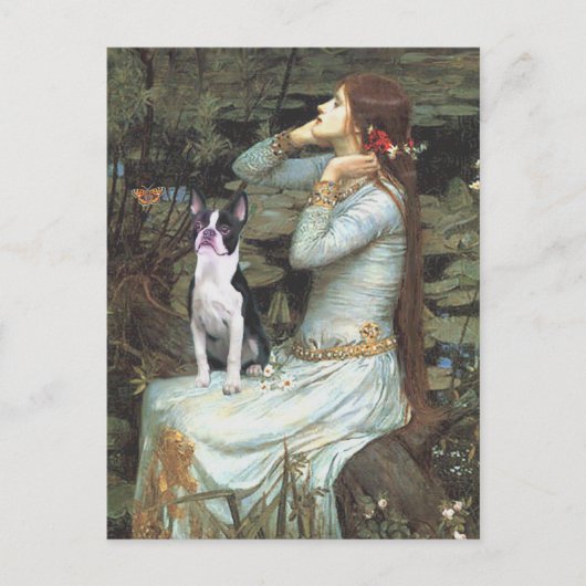 Ophelia & - Boston Terrier Postkarte (Vorderseite)