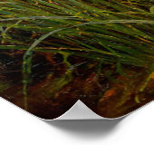 Ophelia by John William Waterhouse Poster (Ecke)