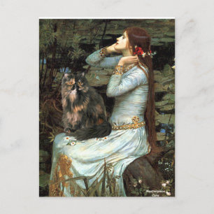 Ophelia - Persische Dreifarbenkatze Postkarte
