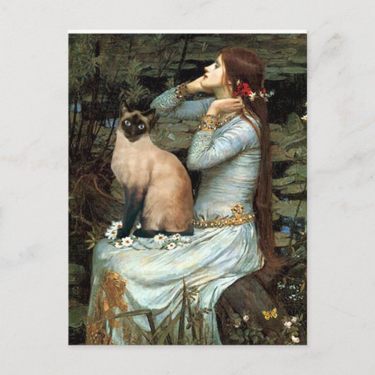 Ophelia - Siegel Point Siamese Cat Postkarte (Vorderseite)